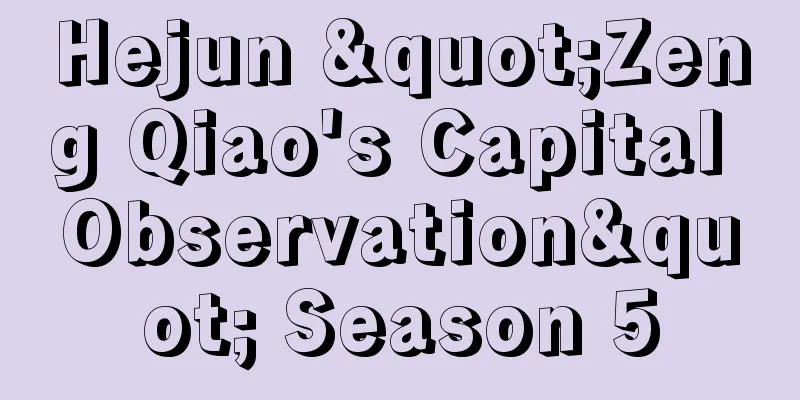 Hejun "Zeng Qiao's Capital Observation" Season 5