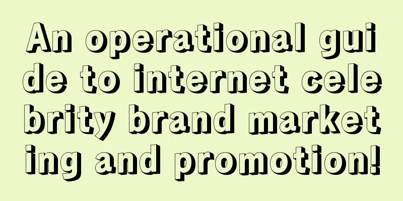 An operational guide to internet celebrity brand marketing and promotion!