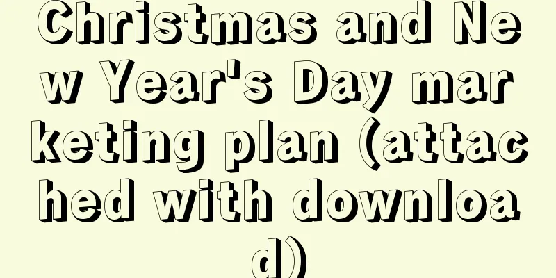 Christmas and New Year's Day marketing plan (attached with download)