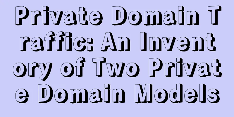 Private Domain Traffic: An Inventory of Two Private Domain Models