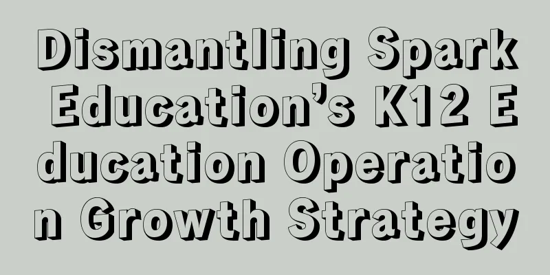 Dismantling Spark Education’s K12 Education Operation Growth Strategy