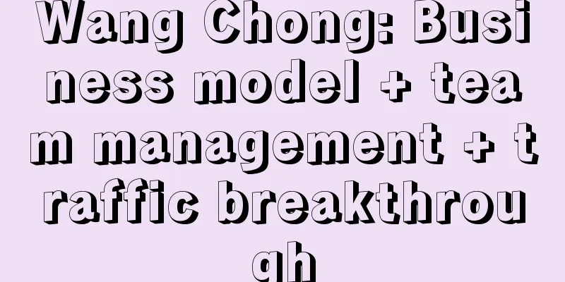 Wang Chong: Business model + team management + traffic breakthrough