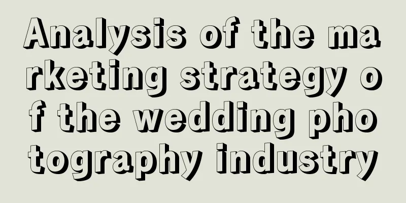 Analysis of the marketing strategy of the wedding photography industry