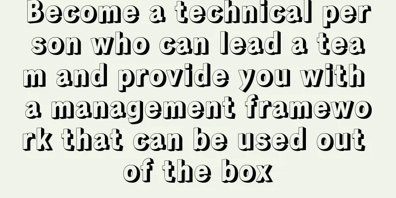 Become a technical person who can lead a team and provide you with a management framework that can be used out of the box