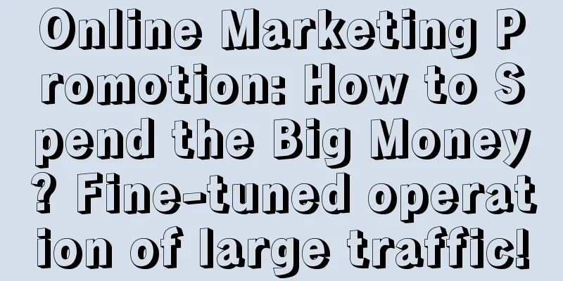 Online Marketing Promotion: How to Spend the Big Money? Fine-tuned operation of large traffic!