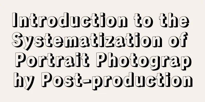 Introduction to the Systematization of Portrait Photography Post-production