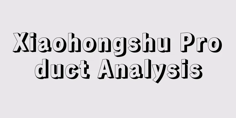 Xiaohongshu Product Analysis