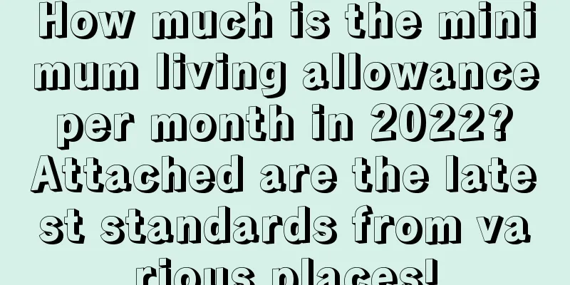 How much is the minimum living allowance per month in 2022? Attached are the latest standards from various places!