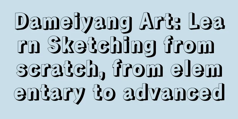 Dameiyang Art: Learn Sketching from scratch, from elementary to advanced