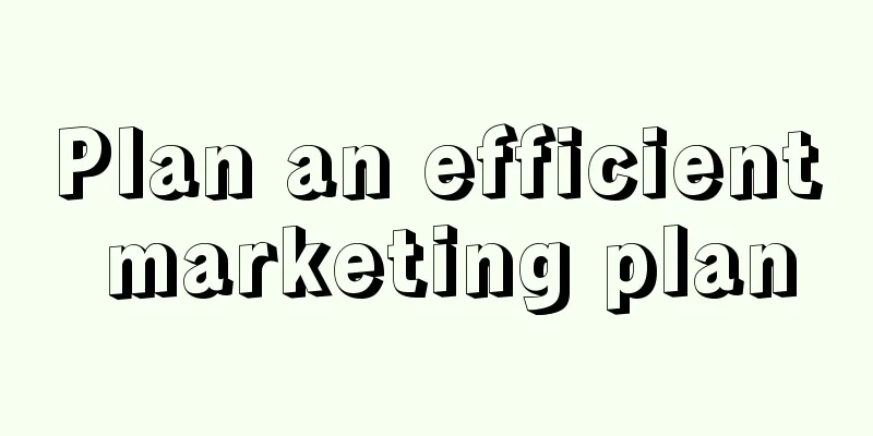 Plan an efficient marketing plan