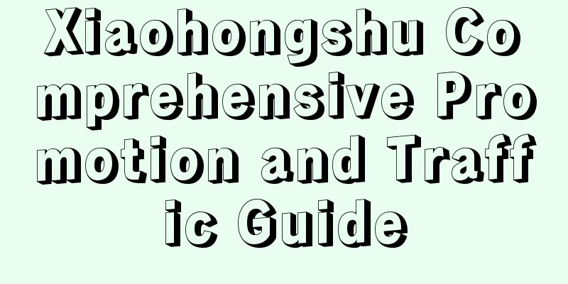 Xiaohongshu Comprehensive Promotion and Traffic Guide