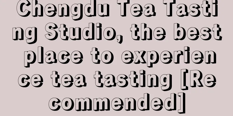 Chengdu Tea Tasting Studio, the best place to experience tea tasting [Recommended]