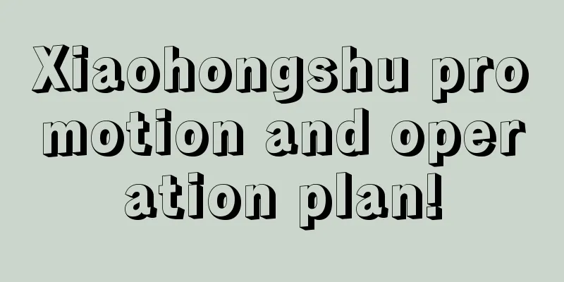 Xiaohongshu promotion and operation plan!