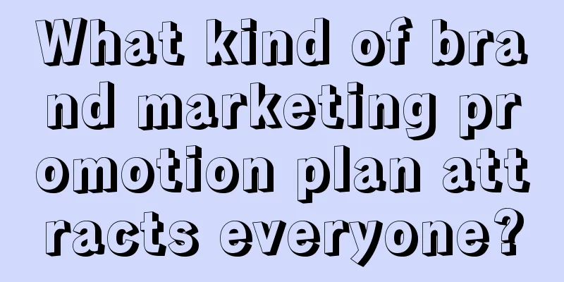 What kind of brand marketing promotion plan attracts everyone?