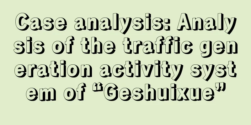 Case analysis: Analysis of the traffic generation activity system of “Geshuixue”