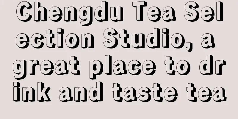 Chengdu Tea Selection Studio, a great place to drink and taste tea