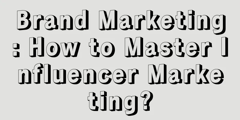 Brand Marketing: How to Master Influencer Marketing?