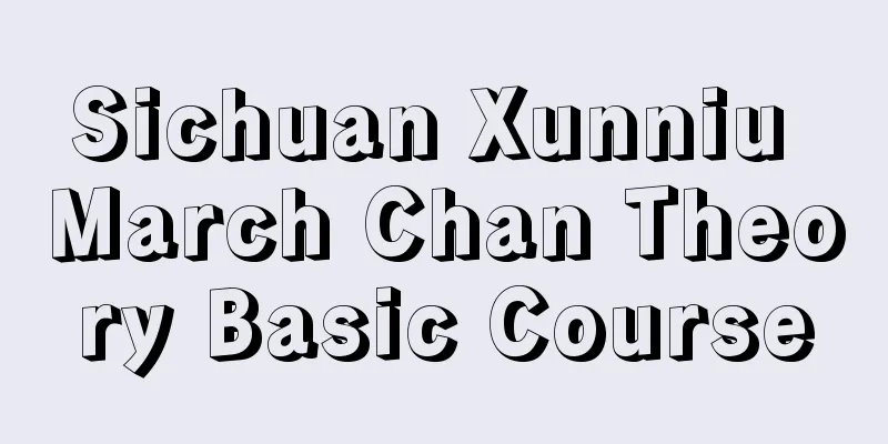 Sichuan Xunniu March Chan Theory Basic Course