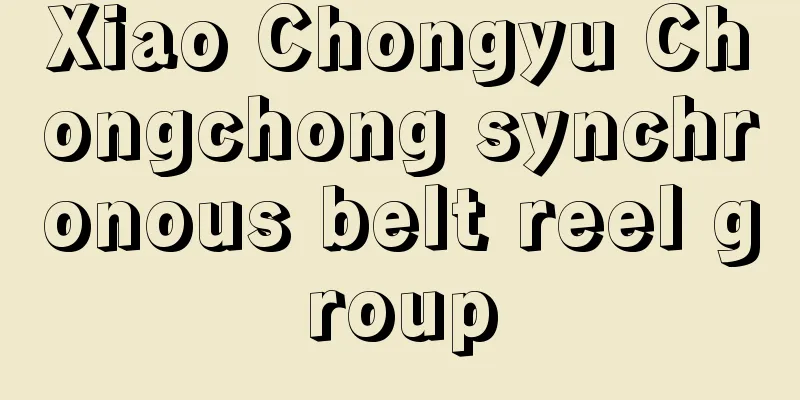 Xiao Chongyu Chongchong synchronous belt reel group