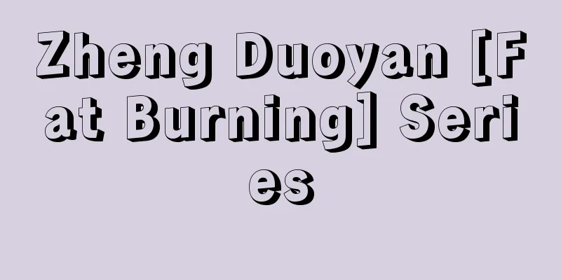 Zheng Duoyan [Fat Burning] Series