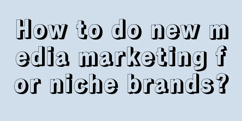 How to do new media marketing for niche brands?