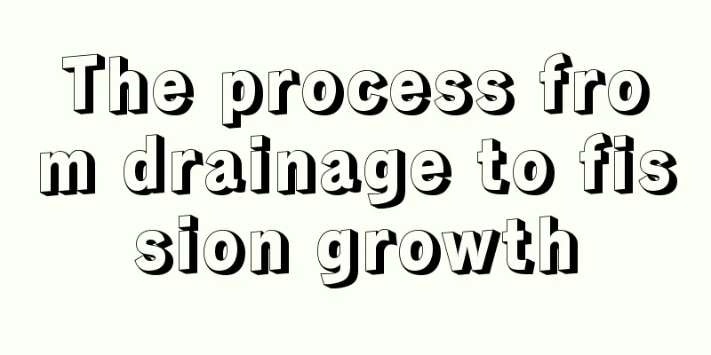 The process from drainage to fission growth