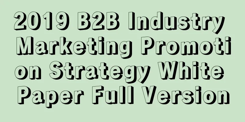 2019 B2B Industry Marketing Promotion Strategy White Paper Full Version