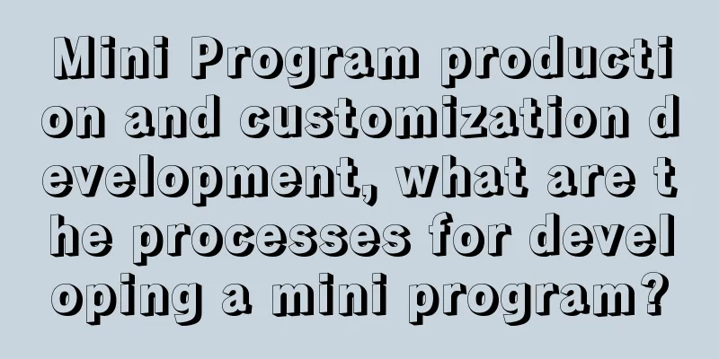 Mini Program production and customization development, what are the processes for developing a mini program?