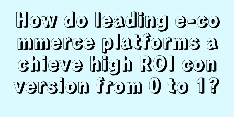 How do leading e-commerce platforms achieve high ROI conversion from 0 to 1?