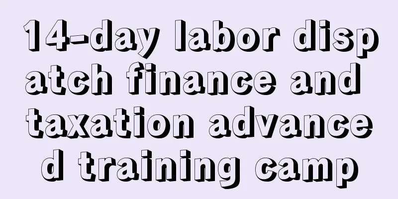 14-day labor dispatch finance and taxation advanced training camp