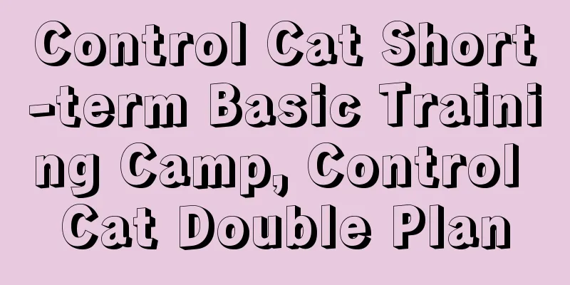 Control Cat Short-term Basic Training Camp, Control Cat Double Plan