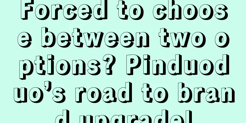 Forced to choose between two options? Pinduoduo’s road to brand upgrade!