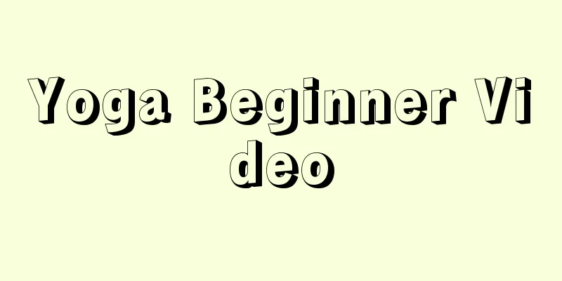 Yoga Beginner Video