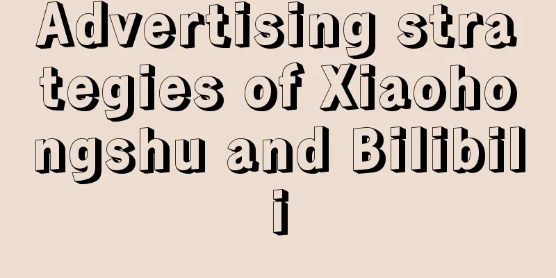 Advertising strategies of Xiaohongshu and Bilibili