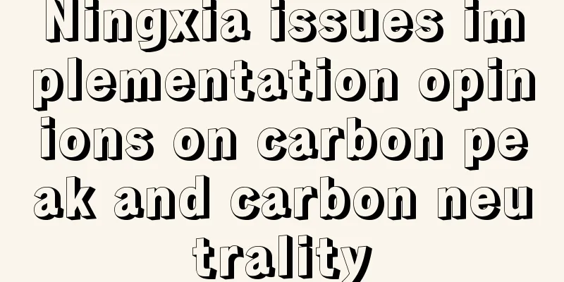 Ningxia issues implementation opinions on carbon peak and carbon neutrality