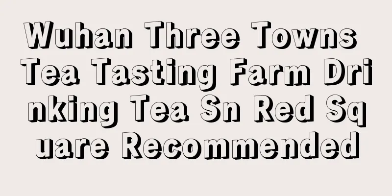 Wuhan Three Towns Tea Tasting Farm Drinking Tea Sn Red Square Recommended