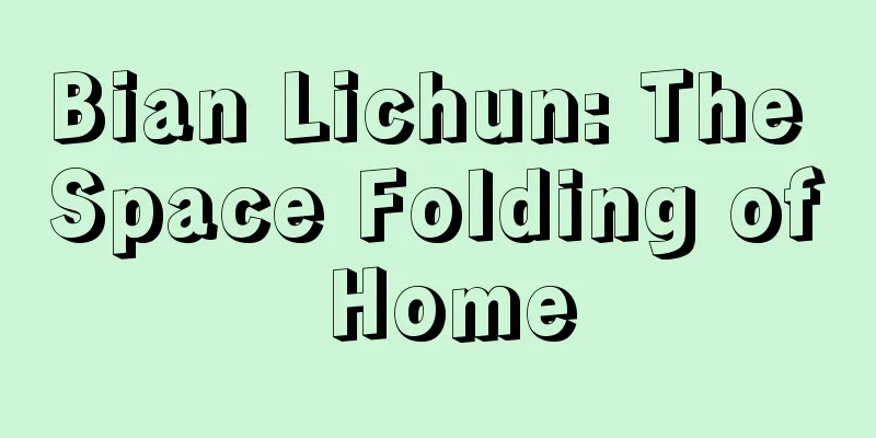 Bian Lichun: The Space Folding of Home