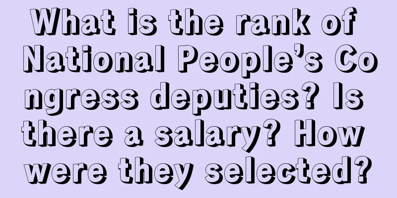 What is the rank of National People’s Congress deputies? Is there a salary? How were they selected?