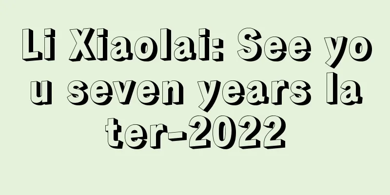 Li Xiaolai: See you seven years later-2022