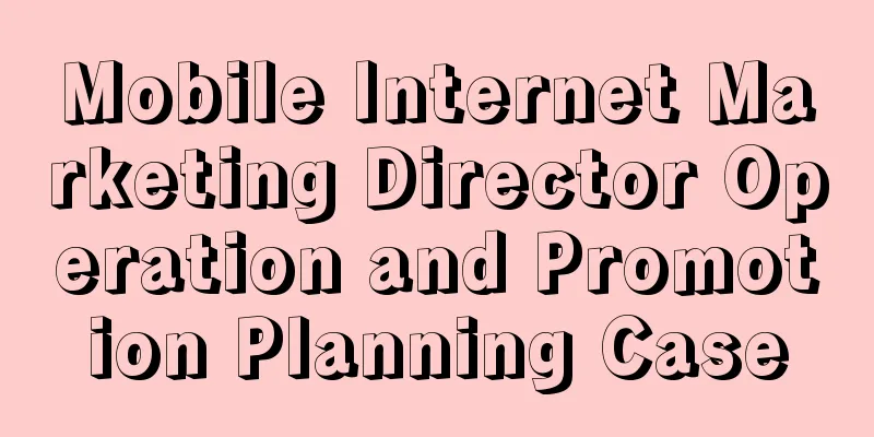 Mobile Internet Marketing Director Operation and Promotion Planning Case