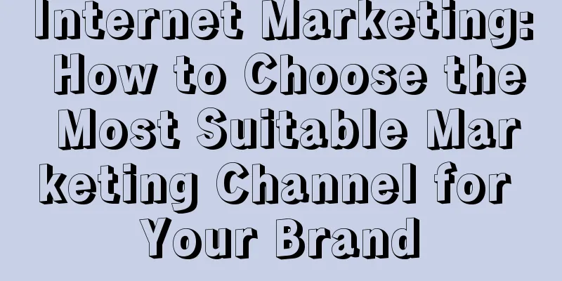 Internet Marketing: How to Choose the Most Suitable Marketing Channel for Your Brand