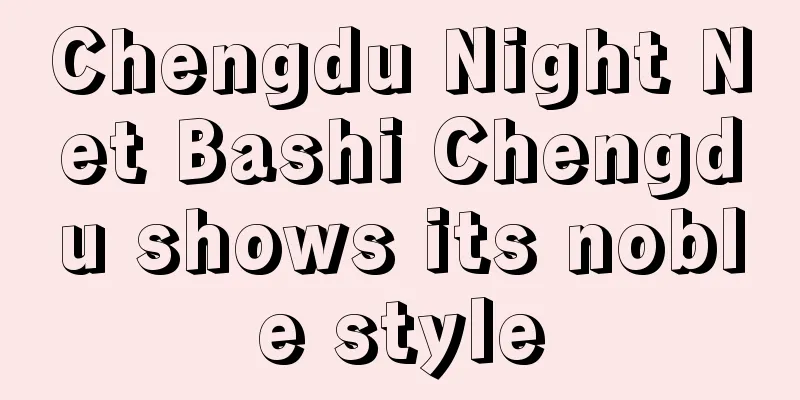 Chengdu Night Net Bashi Chengdu shows its noble style