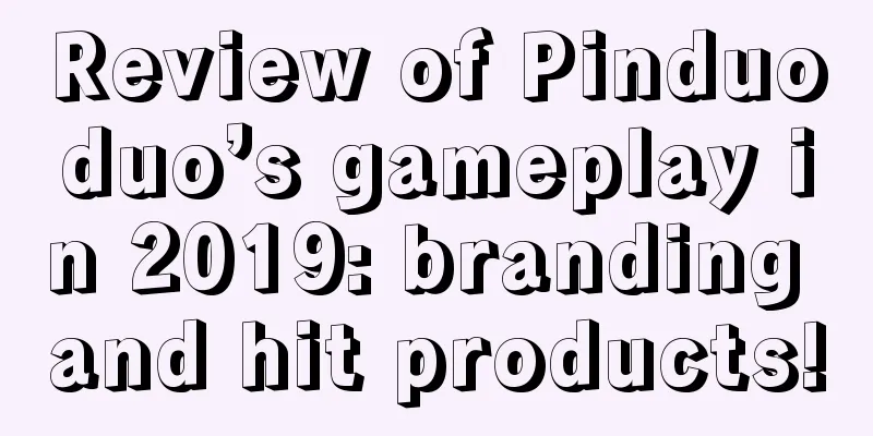 Review of Pinduoduo’s gameplay in 2019: branding and hit products!