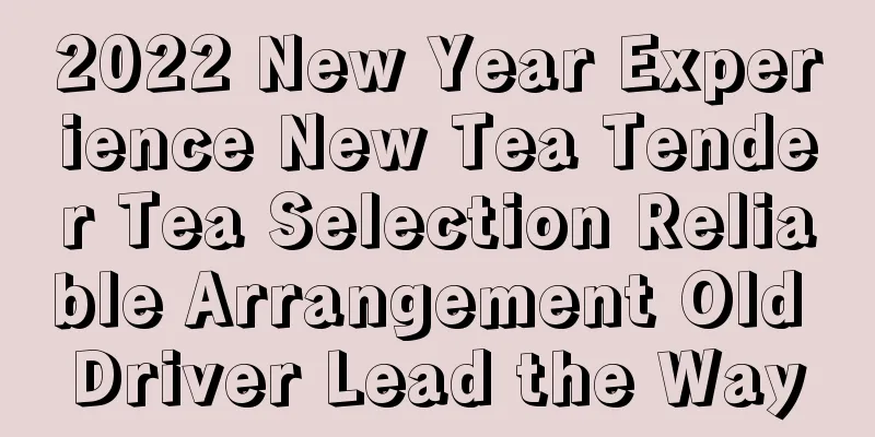 2022 New Year Experience New Tea Tender Tea Selection Reliable Arrangement Old Driver Lead the Way