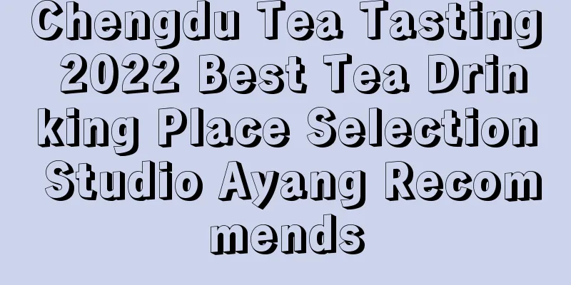 Chengdu Tea Tasting 2022 Best Tea Drinking Place Selection Studio Ayang Recommends