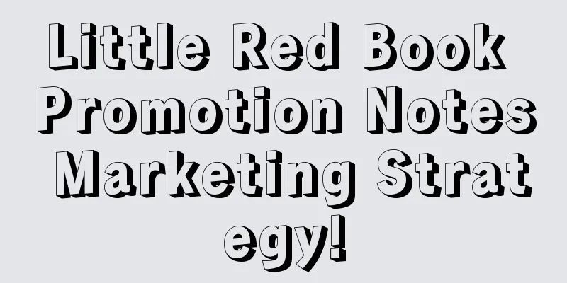 Little Red Book Promotion Notes Marketing Strategy!