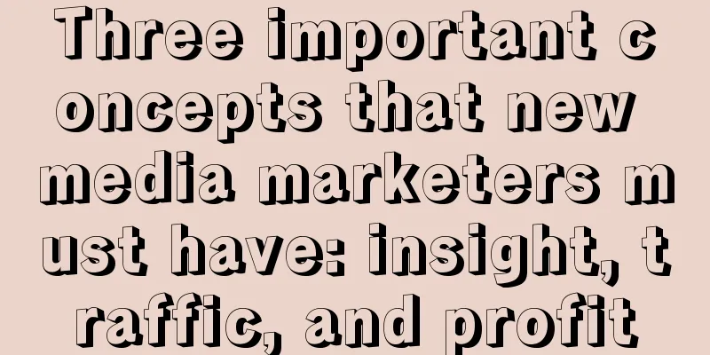 Three important concepts that new media marketers must have: insight, traffic, and profit