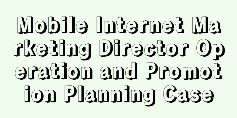 Mobile Internet Marketing Director Operation and Promotion Planning Case