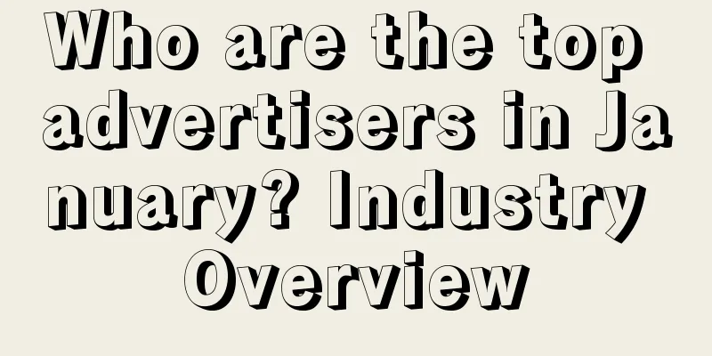 Who are the top advertisers in January? Industry Overview