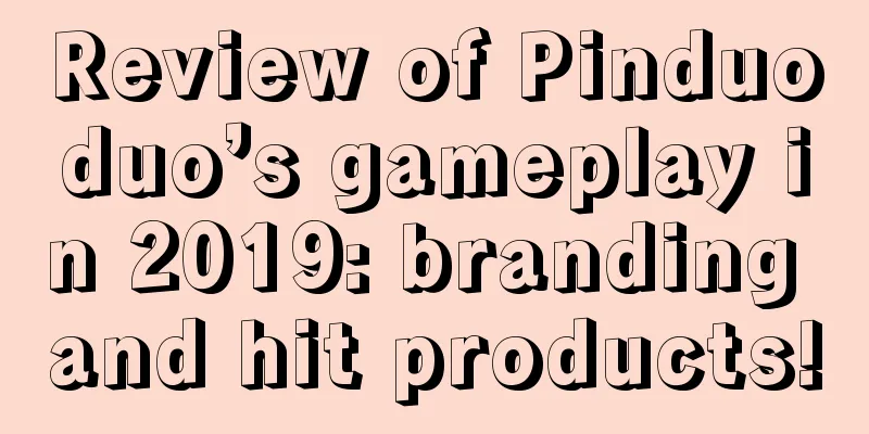 Review of Pinduoduo’s gameplay in 2019: branding and hit products!